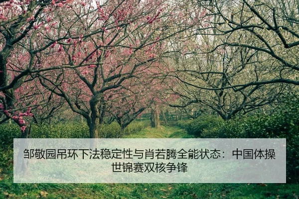 zou-jing-yuan-diao-huan-xia-fa-wen-ding-xing-yu-xiao-ruo-teng-quan-neng-zhuang-tai-zhong-guo-ti-cao-shi-jin-sai-shuang-2-718.jpg